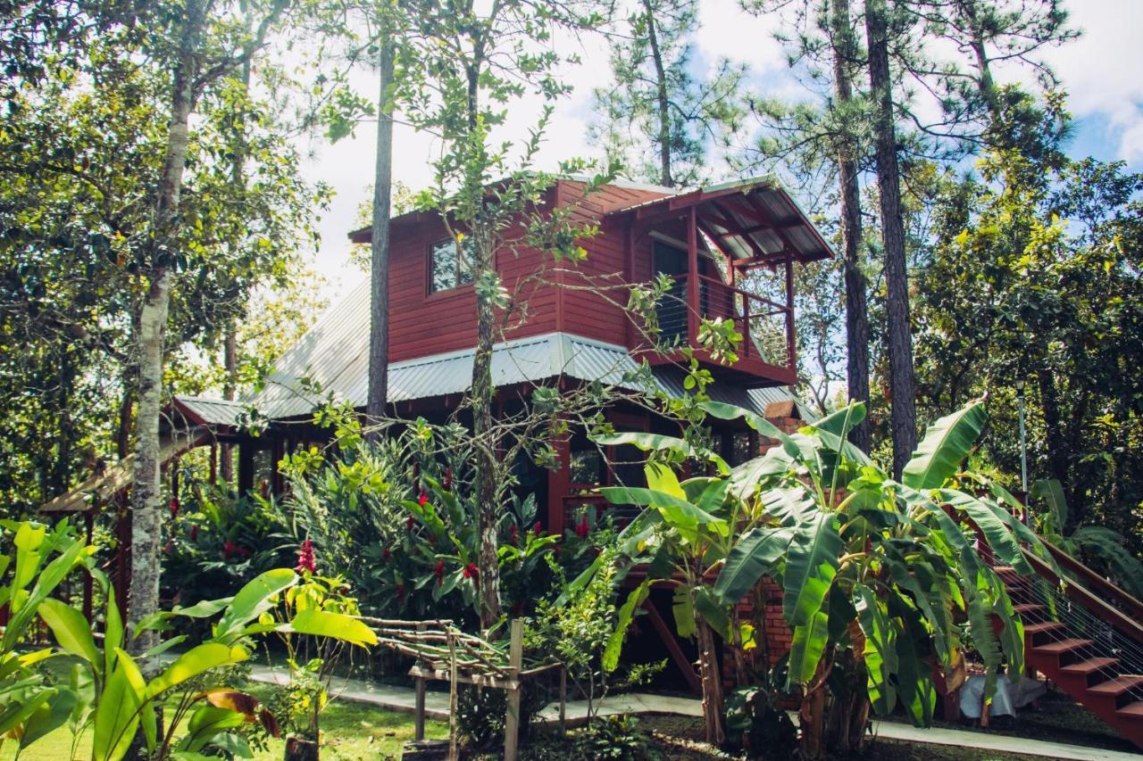 Kane Villas - Mountain Pine Ridge San Ignacio Exterior photo